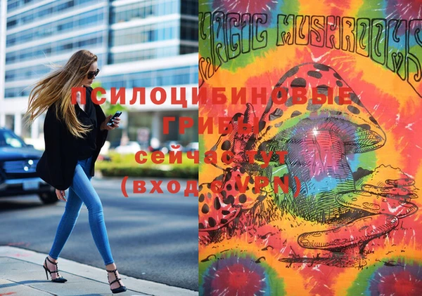 ГАЛЛЮЦИНОГЕННЫЕ ГРИБЫ Покачи